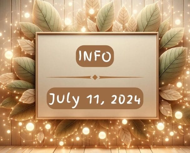 11 INFO July 11, 2024