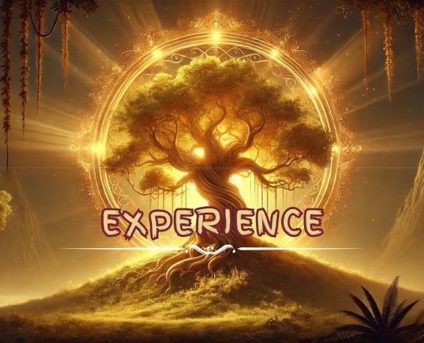 Experience